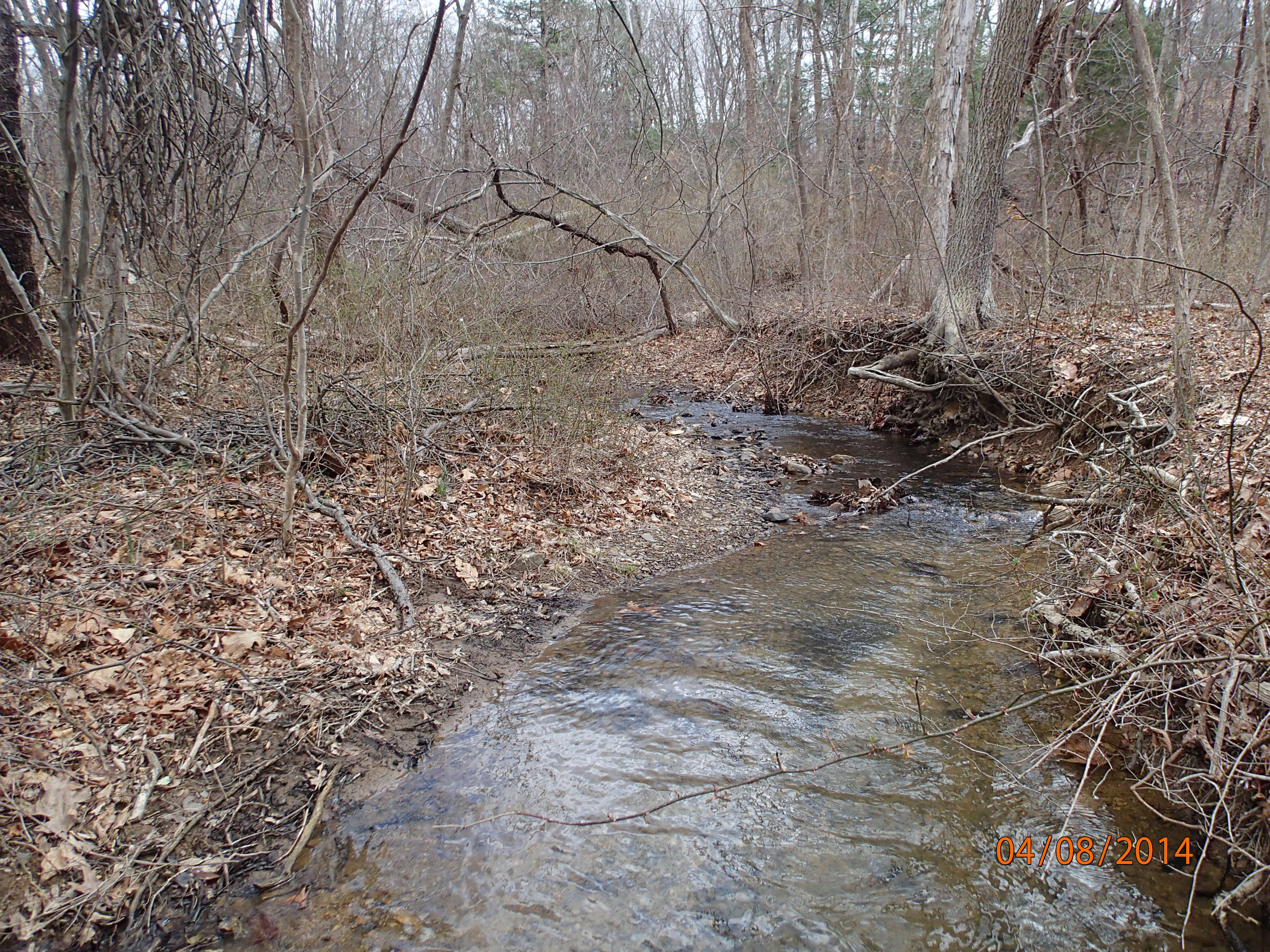 Field photo showing stream conditions at site PRWA-104-R-2014-MidpointUpstream