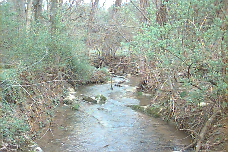 Field photo showing stream conditions at site PRWA-106-R-2000-02
