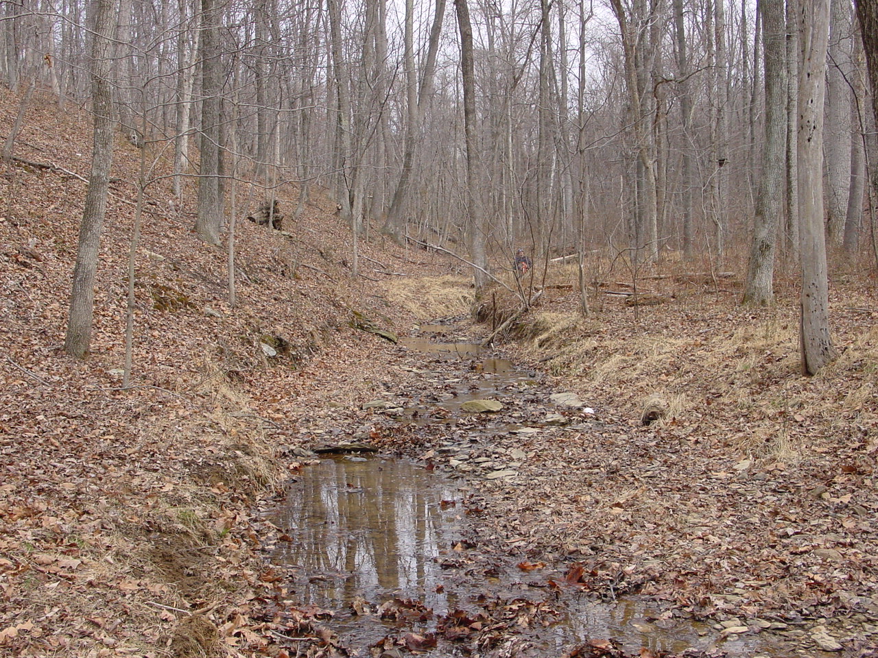 Field photo showing stream conditions at site PRWA-114-R-2002-1