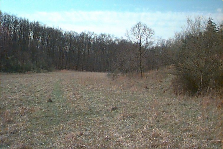 Field photo showing stream conditions at site PRWA-117-R-2000-01