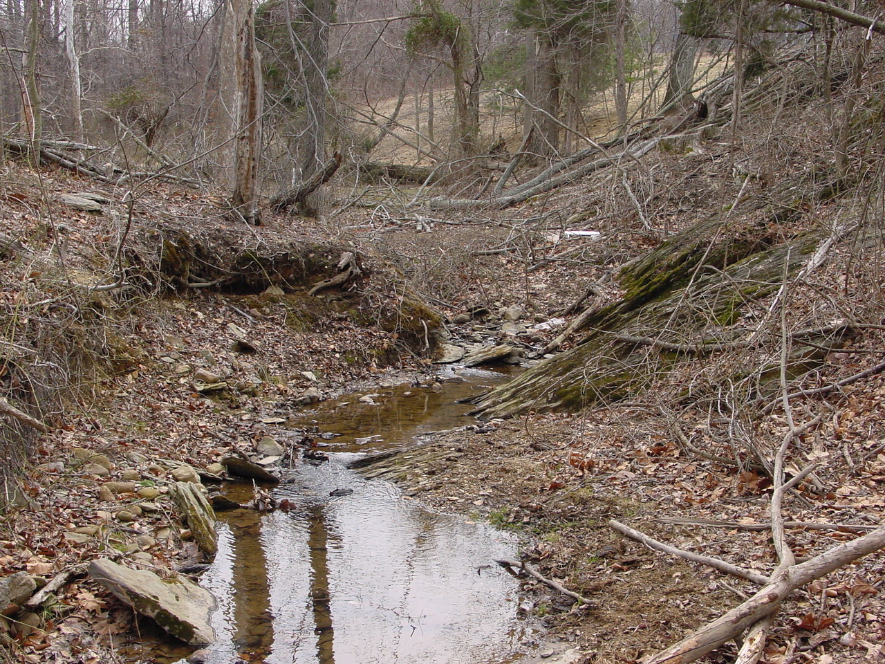 Field photo showing stream conditions at site PRWA-120-R-2002-1