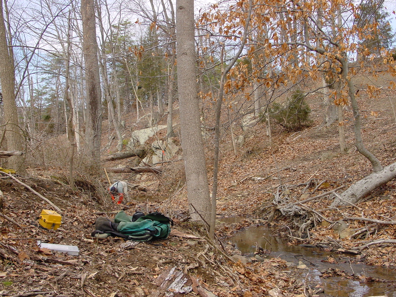 Field photo showing stream conditions at site PRWA-120-R-2002-2
