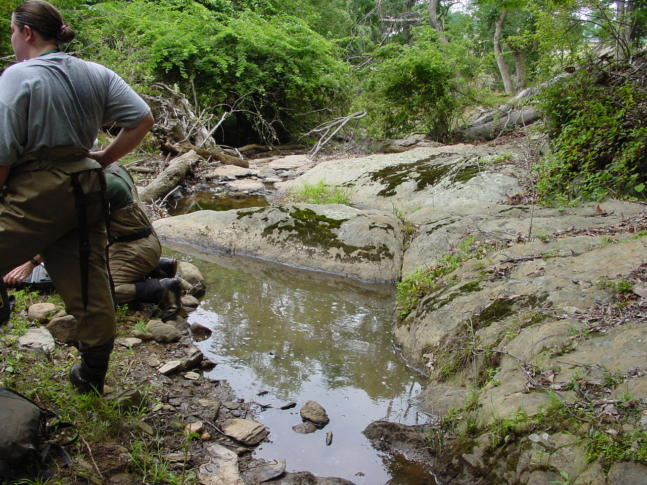 Field photo showing stream conditions at site PRWA-120-R-2002-4