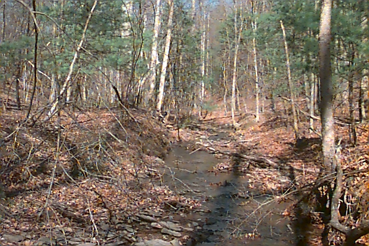 Field photo showing stream conditions at site PRWA-122-R-2000-01