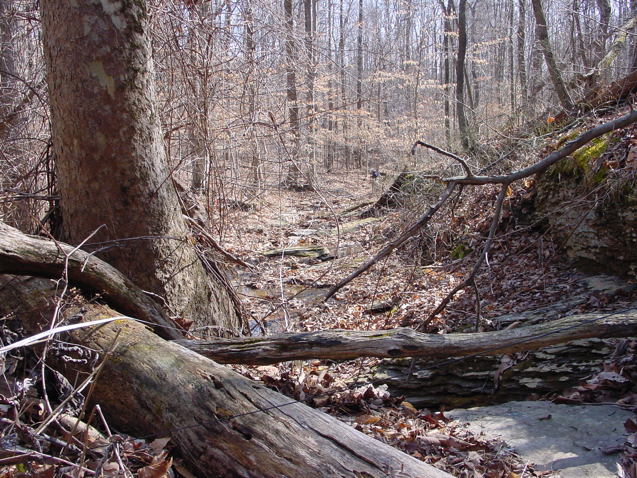 Field photo showing stream conditions at site PRWA-124-R-2002-1