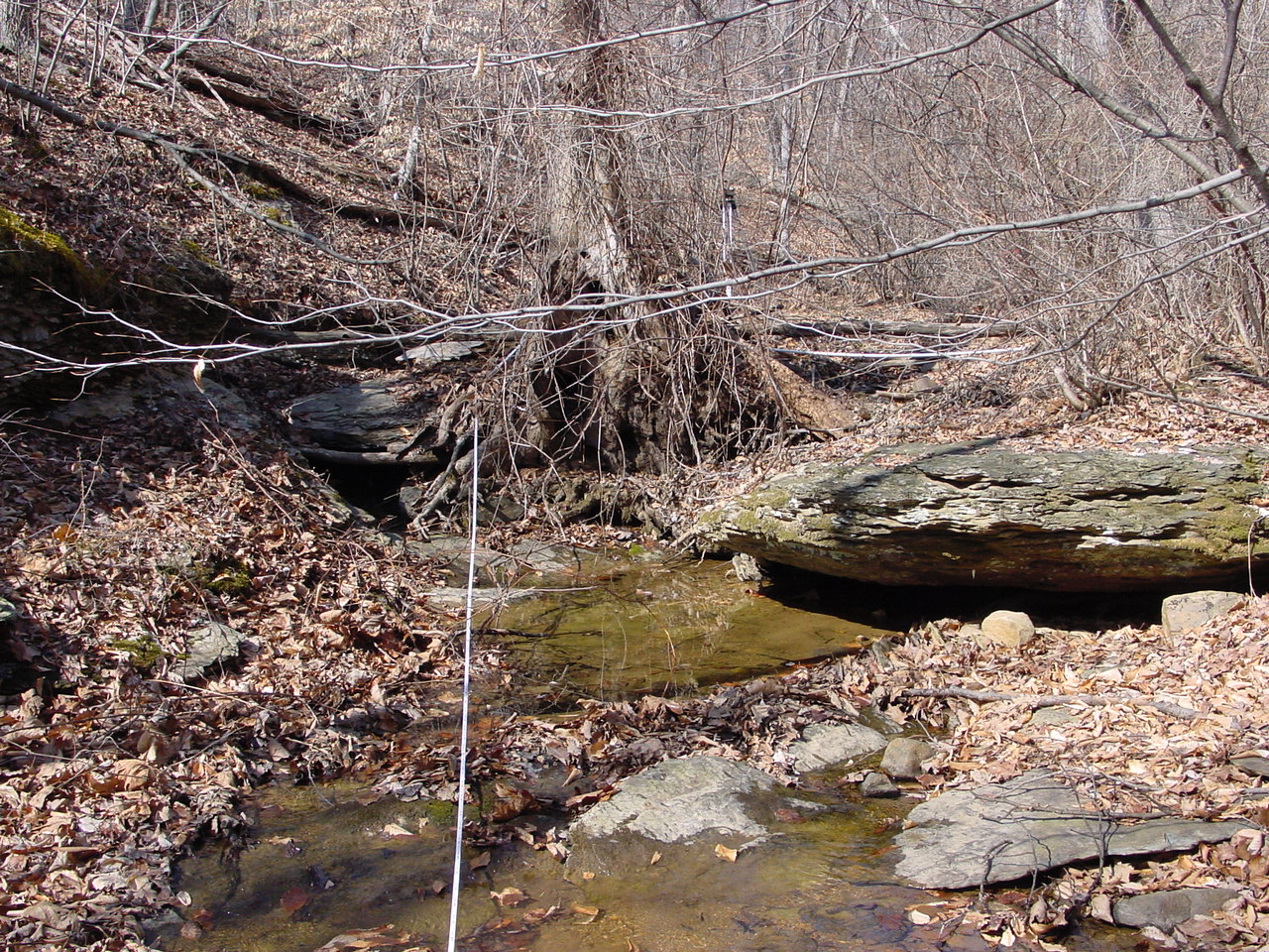 Field photo showing stream conditions at site PRWA-124-R-2002-2