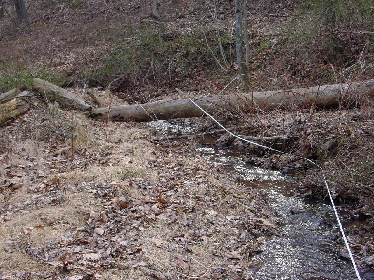 Field photo showing stream conditions at site PRWA-125-R-2002-1