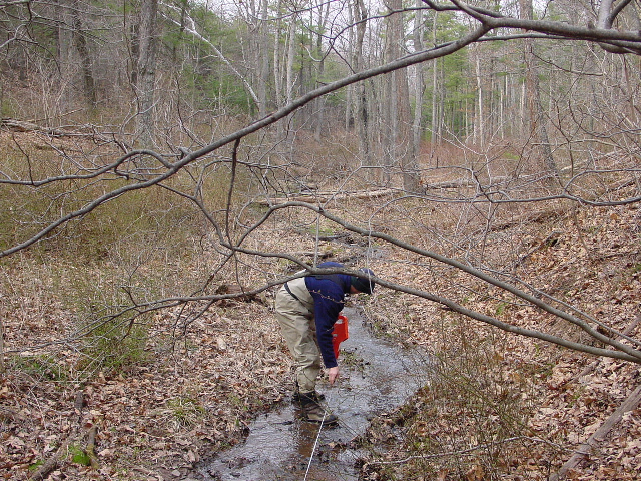 Field photo showing stream conditions at site PRWA-125-R-2002-2