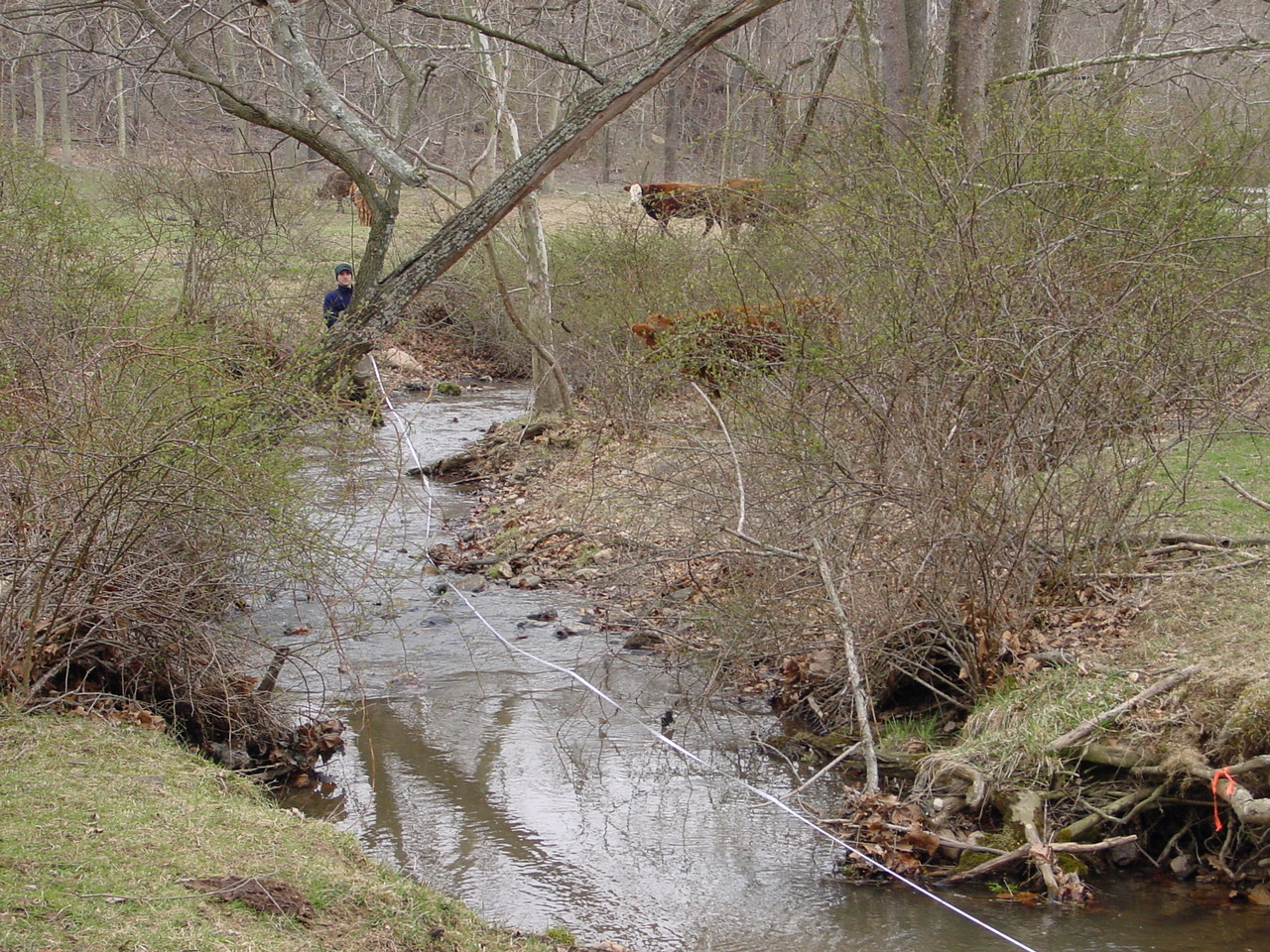 Field photo showing stream conditions at site PRWA-206-R-2002-2