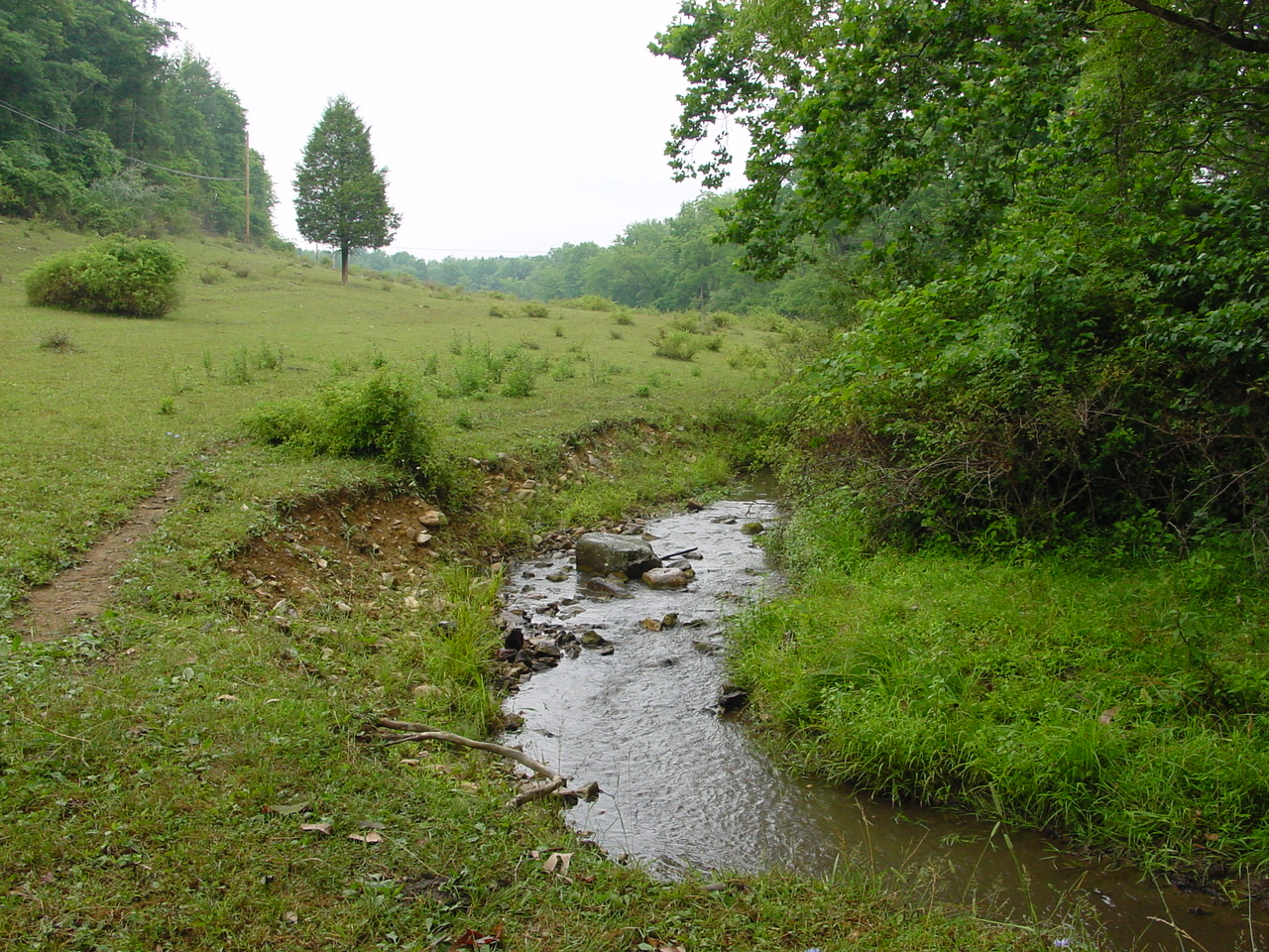 Field photo showing stream conditions at site PRWA-206-R-2002-4