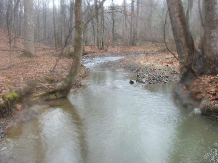 Field photo showing stream conditions at site PRWA-212-R-2008-1