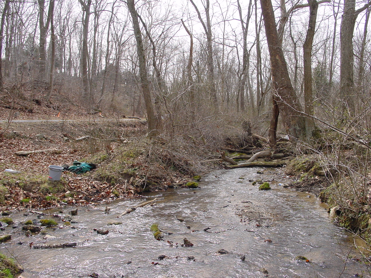 Field photo showing stream conditions at site PRWA-215-R-2002-1