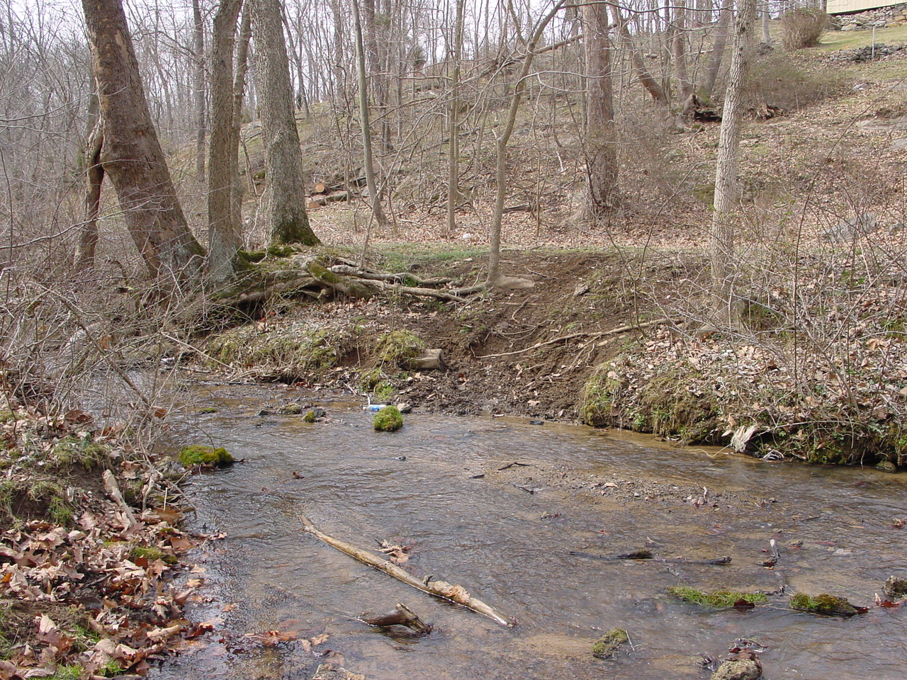 Field photo showing stream conditions at site PRWA-215-R-2002-2