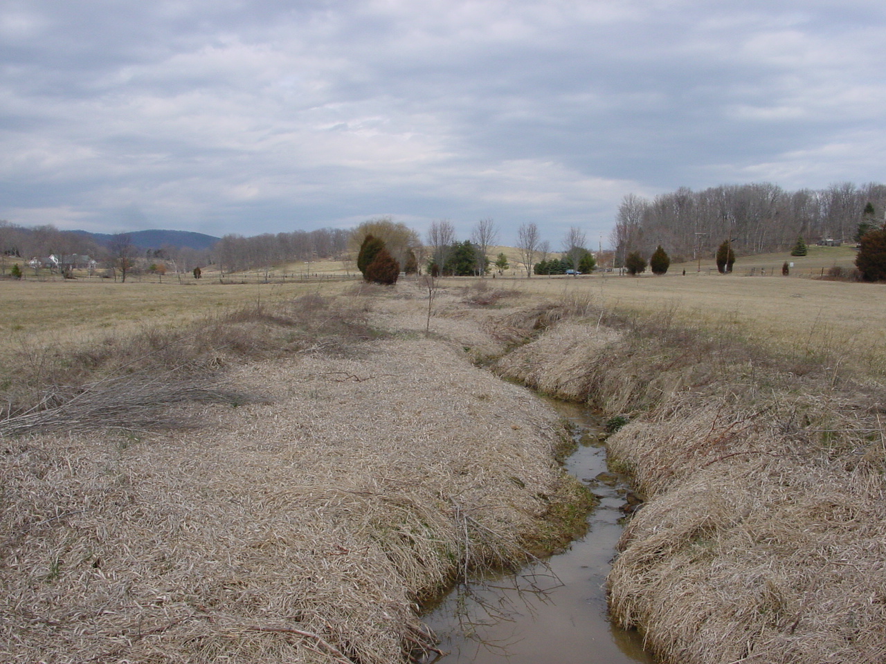 Field photo showing stream conditions at site PRWA-217-R-2002-2