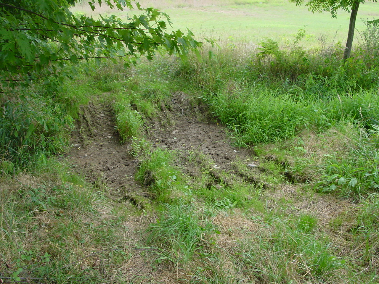 Field photo showing stream conditions at site PRWA-217-R-2002-3