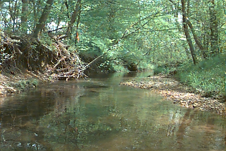 Field photo showing stream conditions at site PTOB-002-S-2000-02