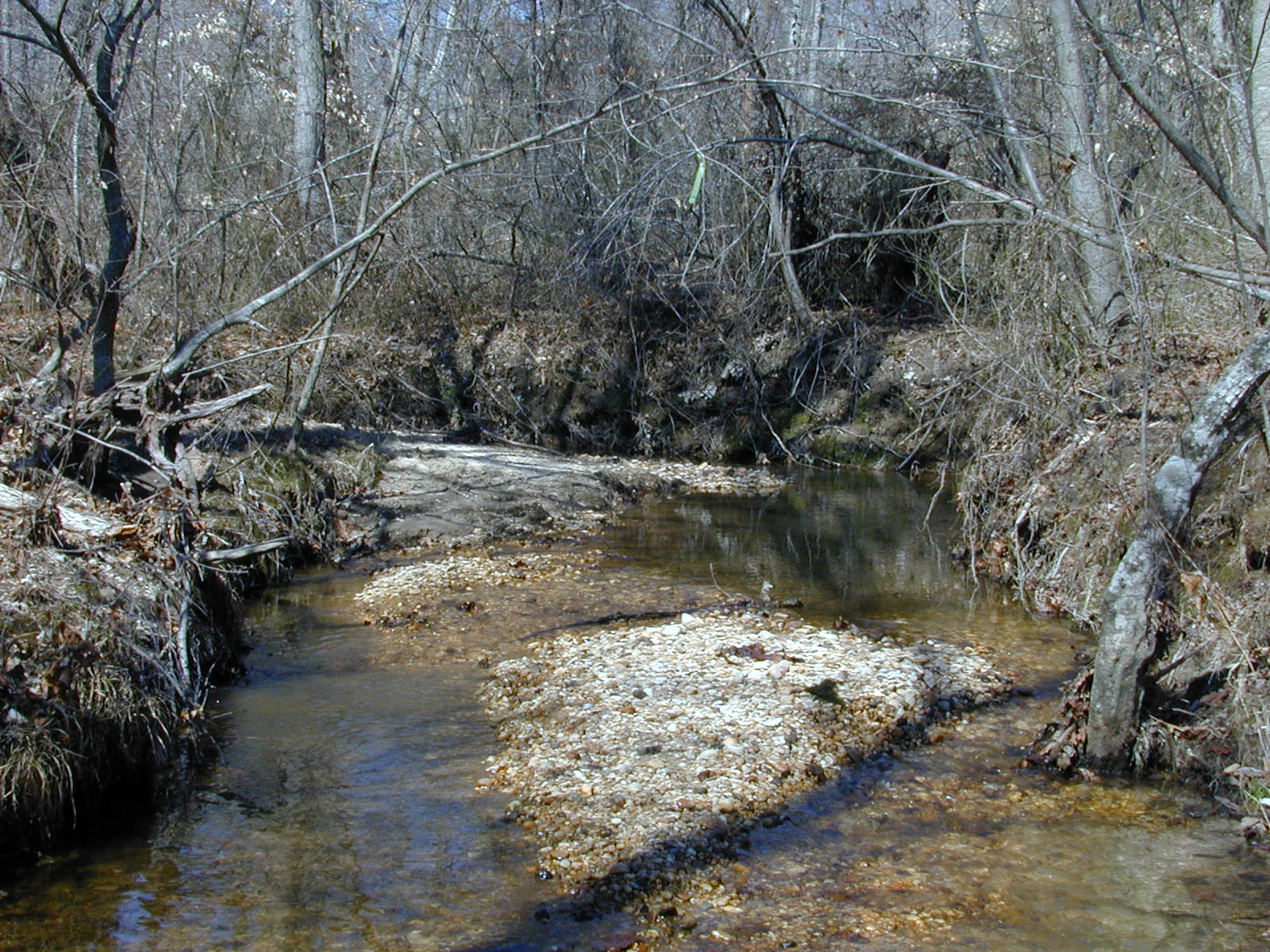 Field photo showing stream conditions at site PTOB-002-S-2001-83