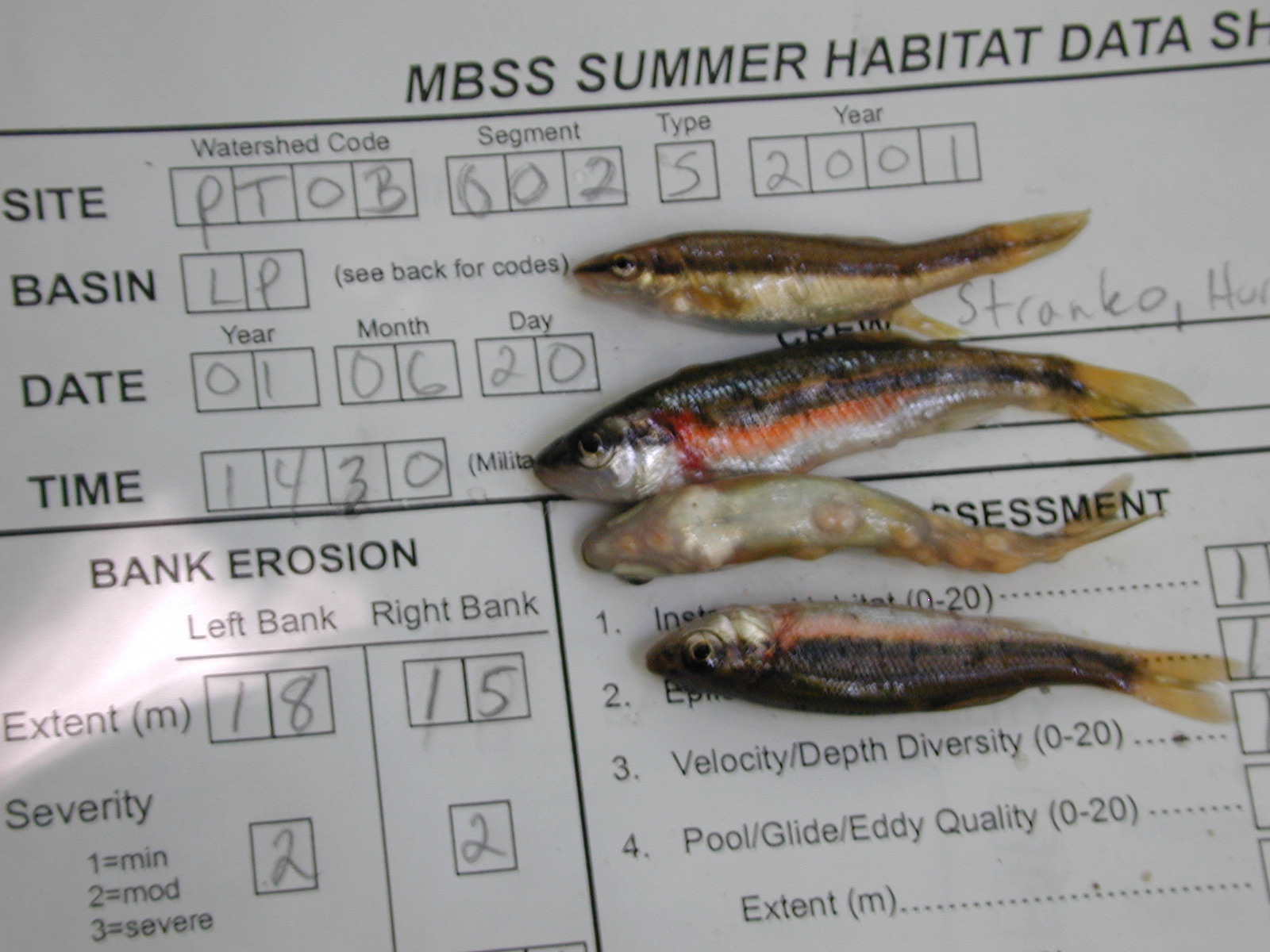 Field photo showing stream conditions at site PTOB-002-S-2001-84