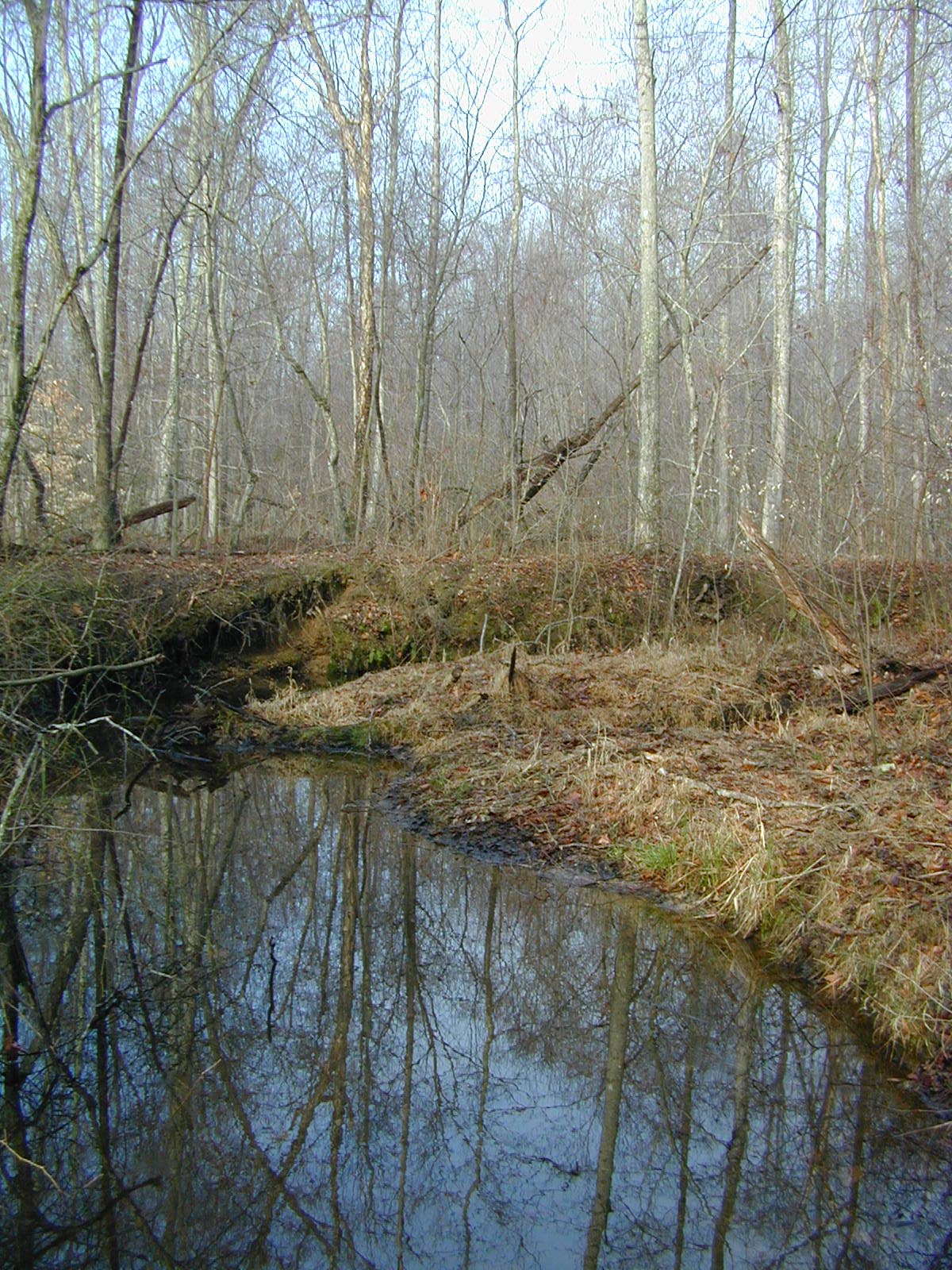 Field photo showing stream conditions at site PTOB-002-S-2002-407