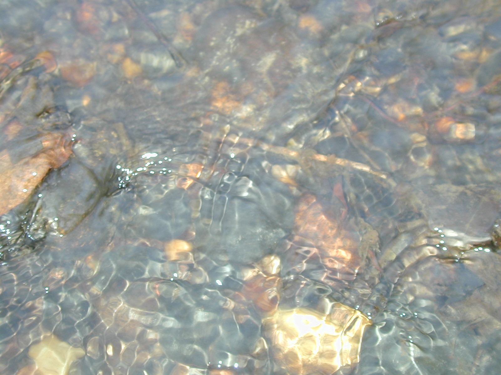 Field photo showing stream conditions at site PTOB-002-S-2002-409