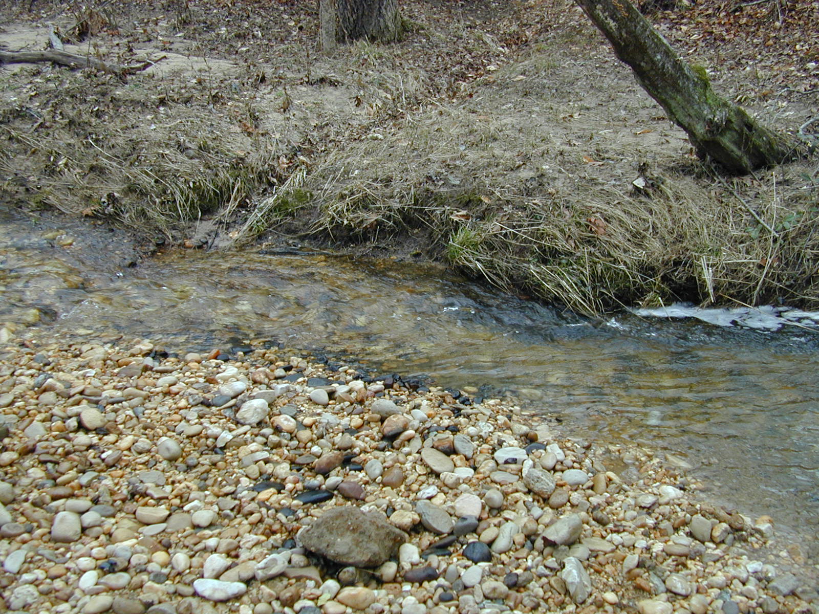 Field photo showing stream conditions at site PTOB-002-S-2003-701