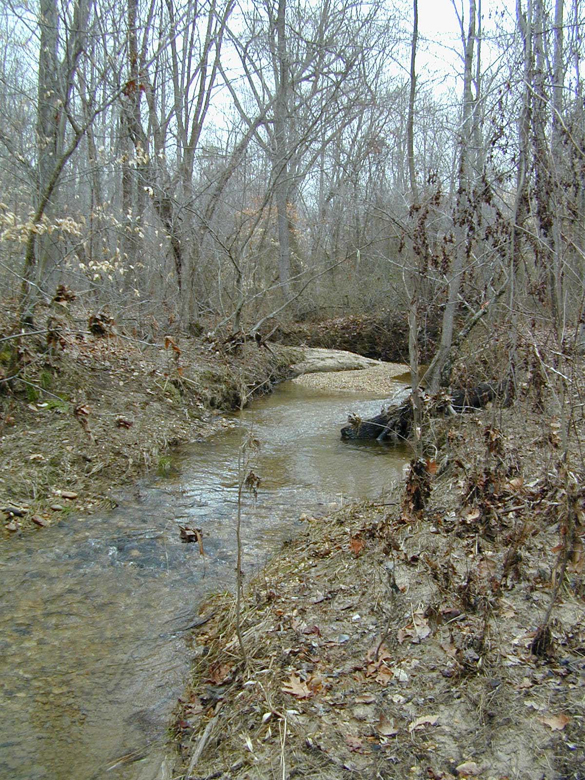 Field photo showing stream conditions at site PTOB-002-S-2003-702
