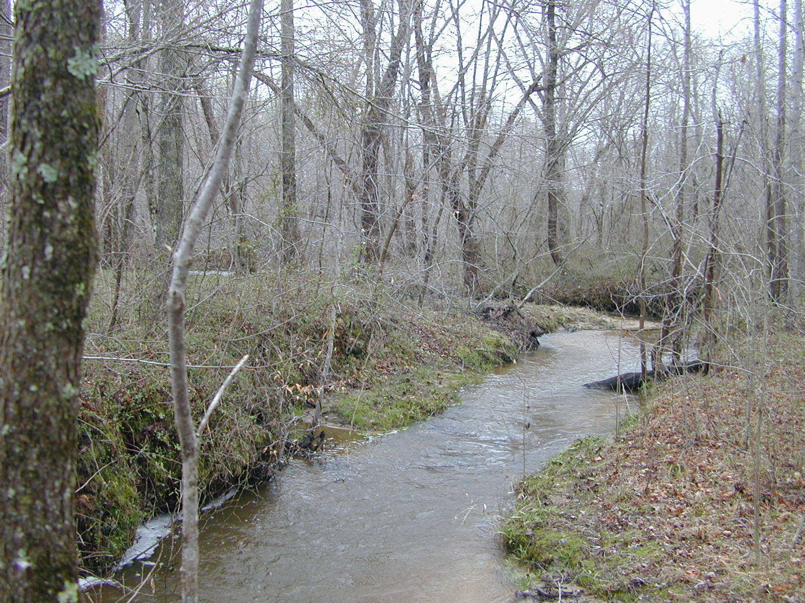 Field photo showing stream conditions at site PTOB-002-S-2004-1