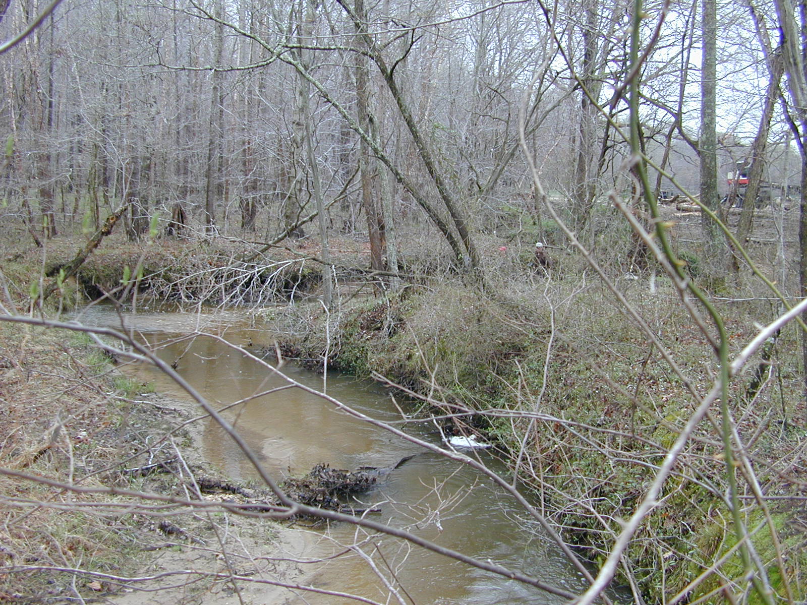 Field photo showing stream conditions at site PTOB-002-S-2004-2