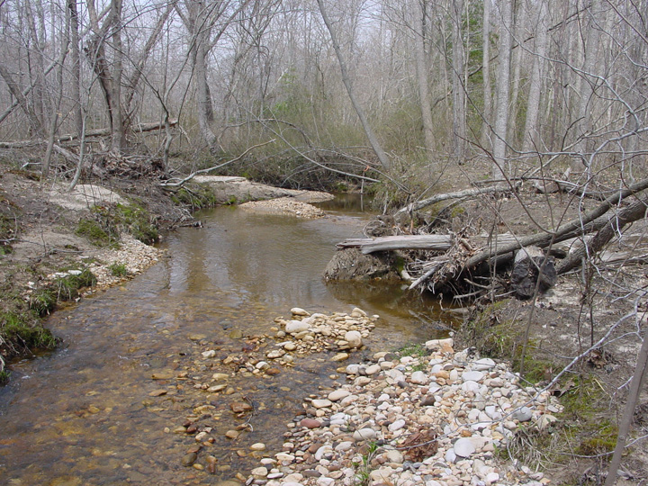 Field photo showing stream conditions at site PTOB-002-S-2007-2