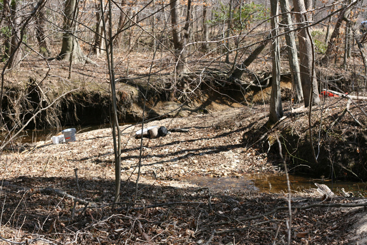 Field photo showing stream conditions at site PTOB-002-S-2009-1