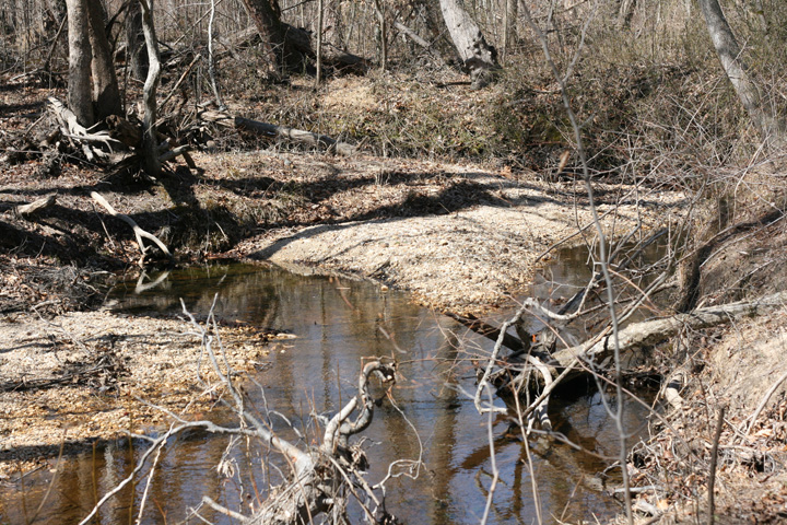 Field photo showing stream conditions at site PTOB-002-S-2009-2