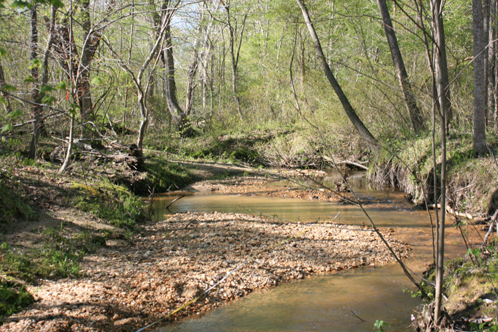 Field photo showing stream conditions at site PTOB-002-S-2010-1