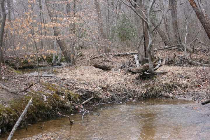 Field photo showing stream conditions at site PTOB-002-S-2011-1