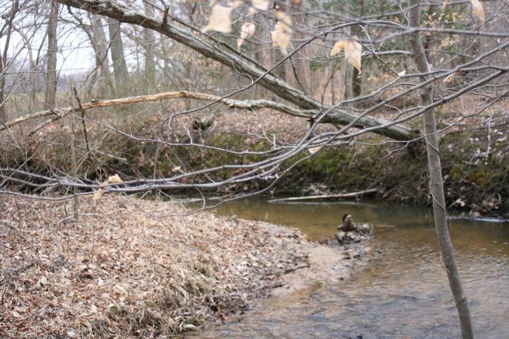 Field photo showing stream conditions at site PTOB-002-S-2011-2