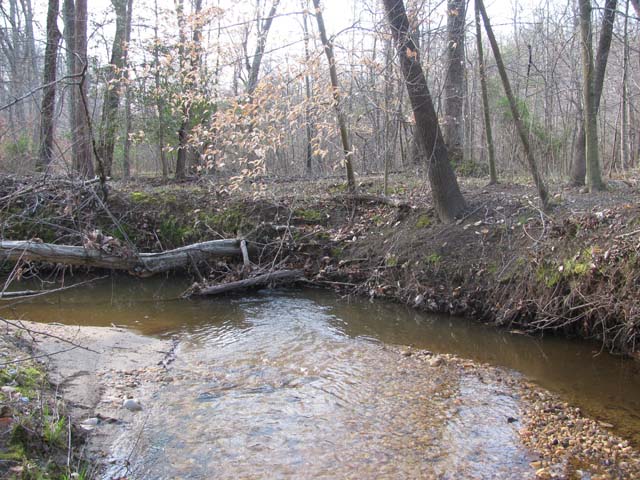 Field photo showing stream conditions at site PTOB-002-S-2012-2