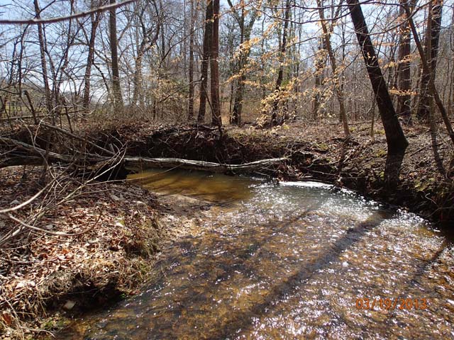 Field photo showing stream conditions at site PTOB-002-S-2013-MidpointPdownstream