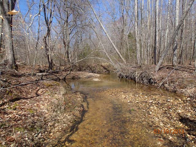 Field photo showing stream conditions at site PTOB-002-S-2013-MidpointPupstream