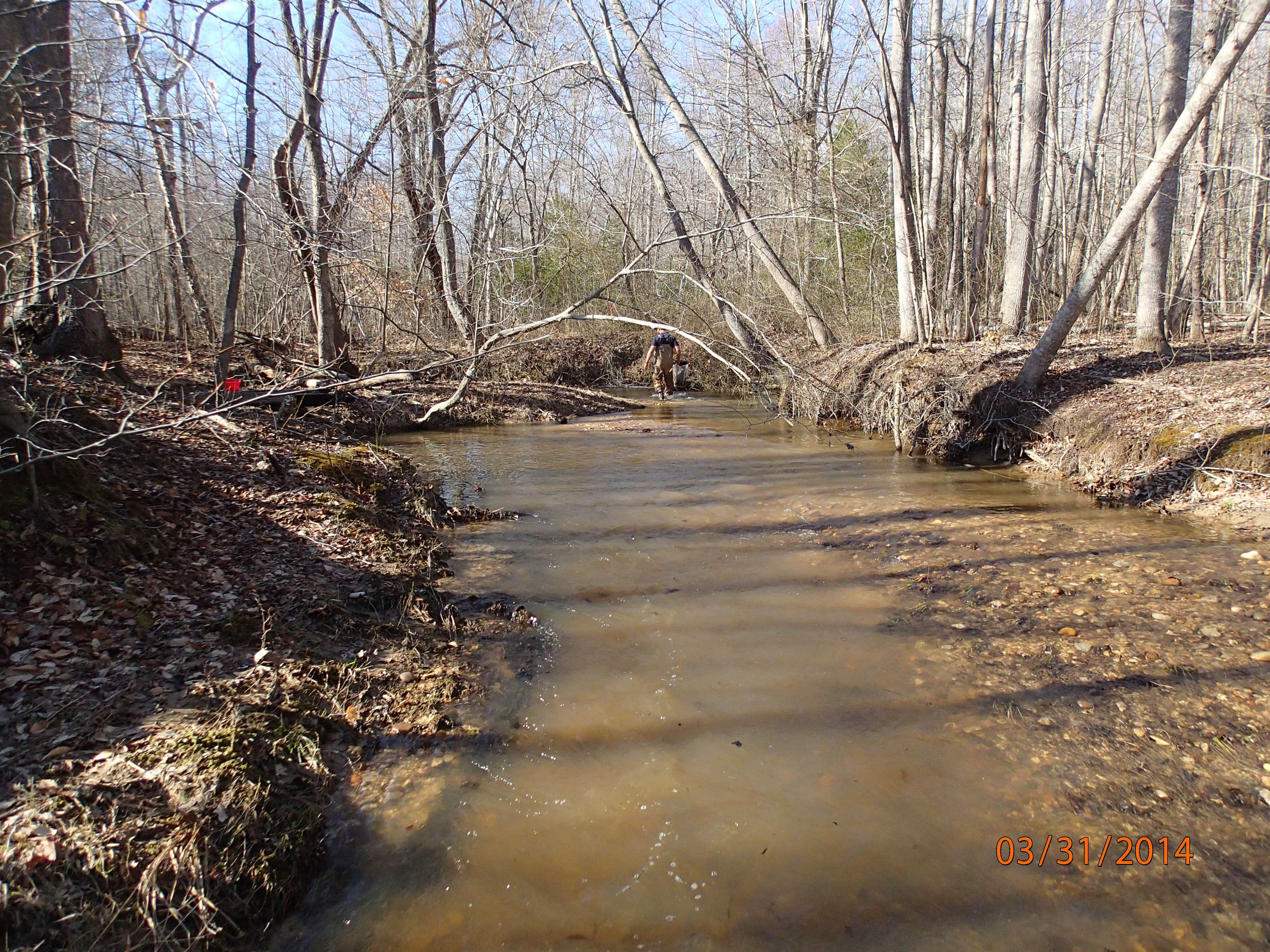 Field photo showing stream conditions at site PTOB-002-S-2014-MidpointUpstream