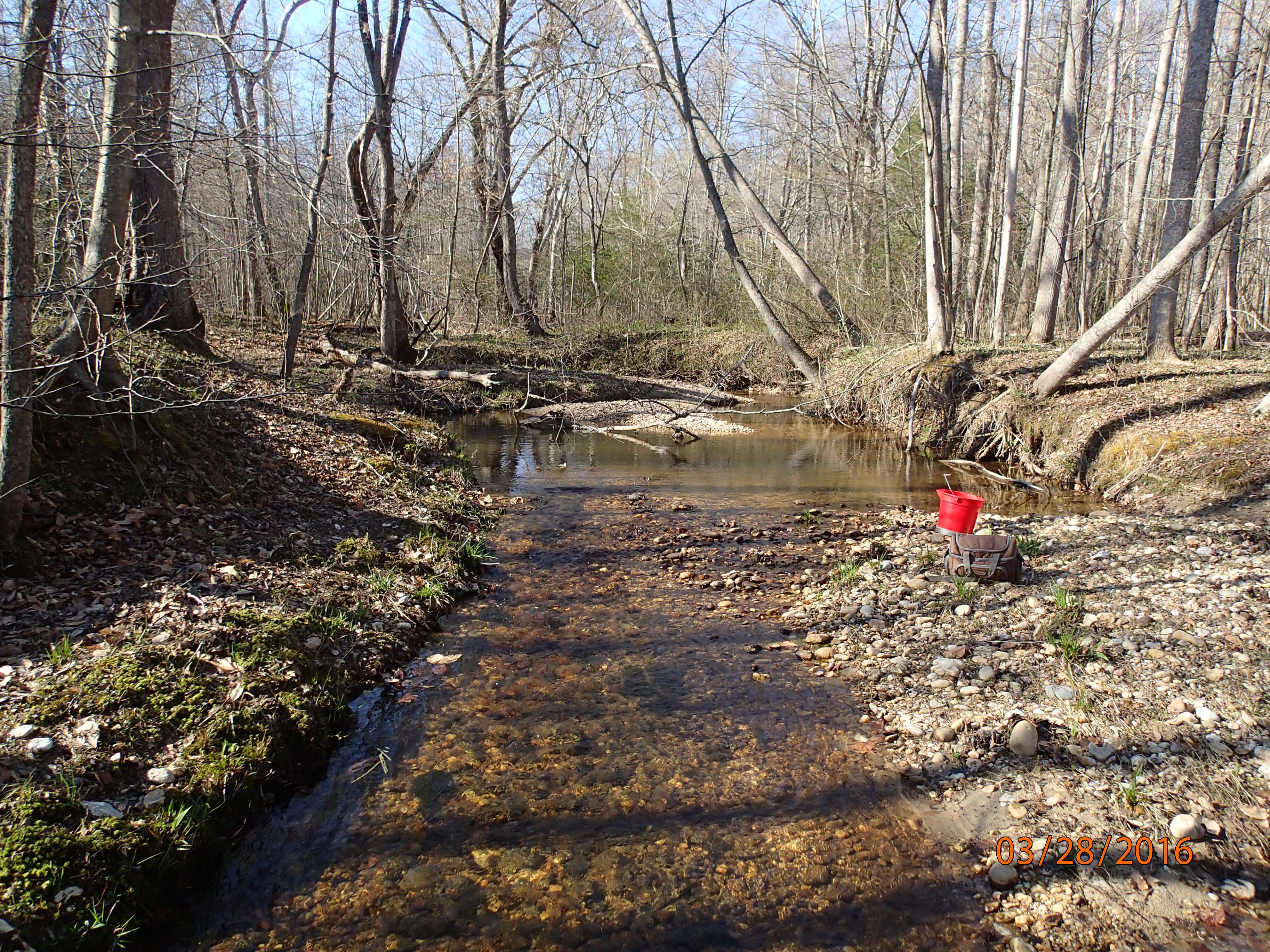 Field photo showing stream conditions at site PTOB-002-S-2016-MidpointPUpstream