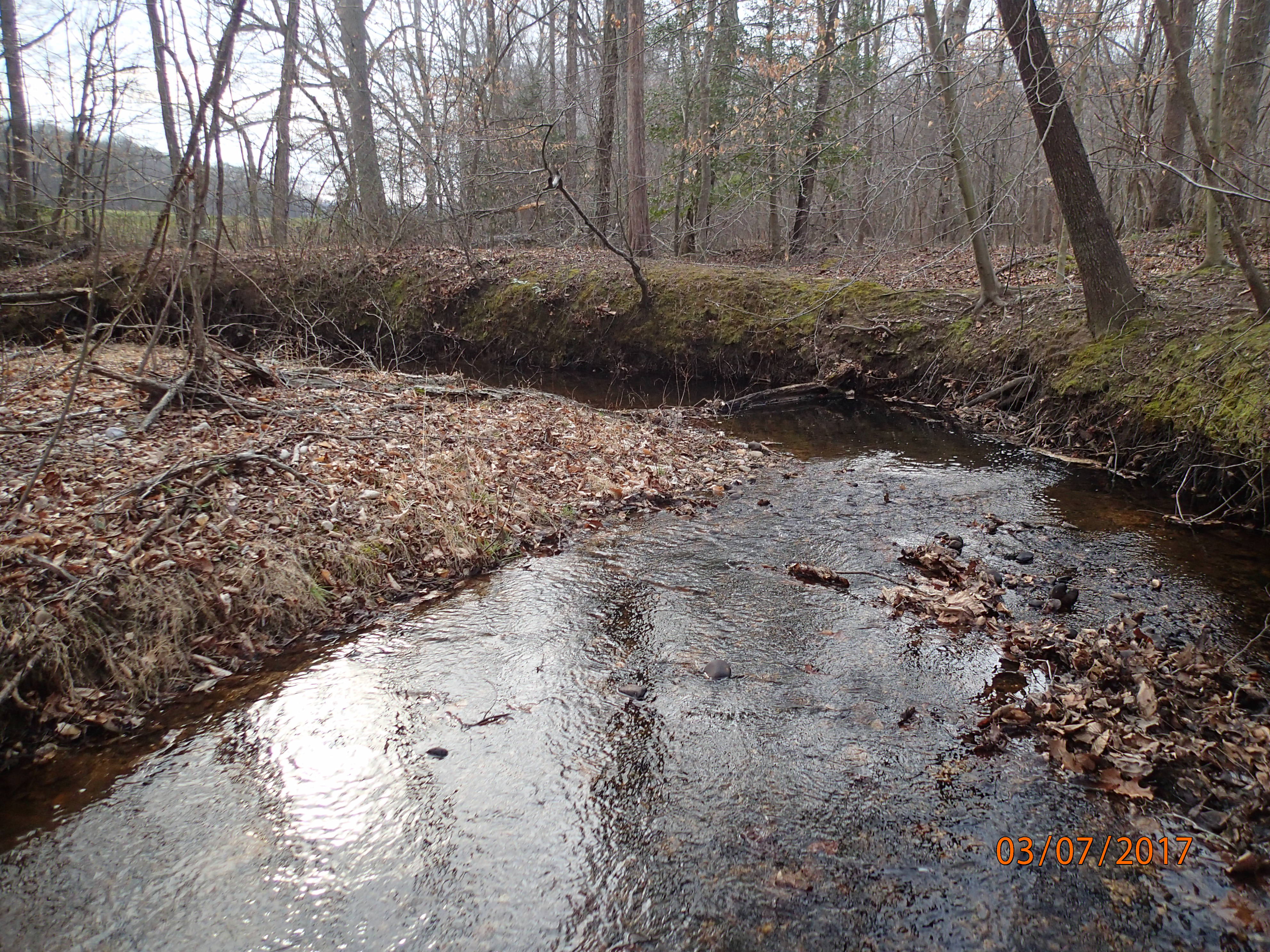 Field photo showing stream conditions at site PTOB-002-S-2017-MidpointPDownstream
