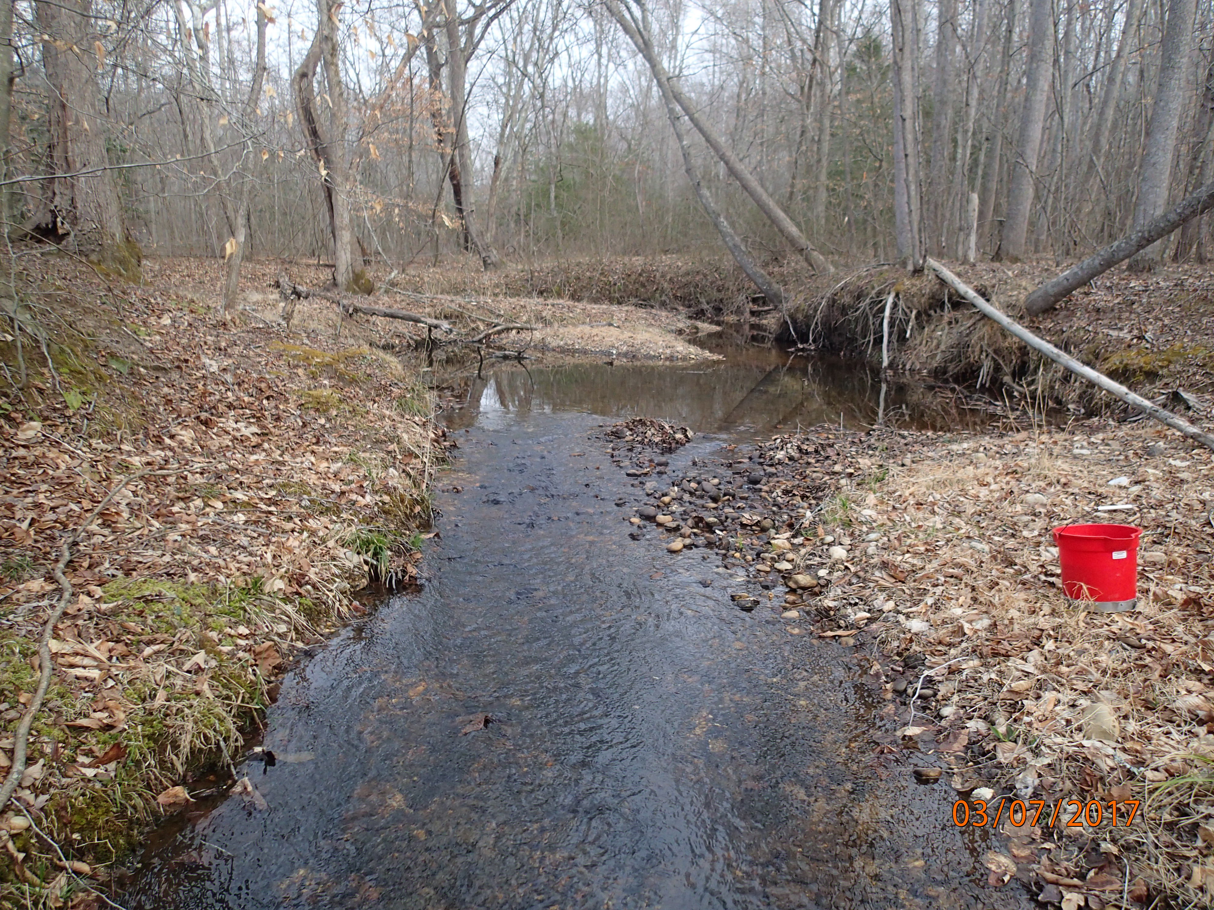 Field photo showing stream conditions at site PTOB-002-S-2017-MidpointPUpstream
