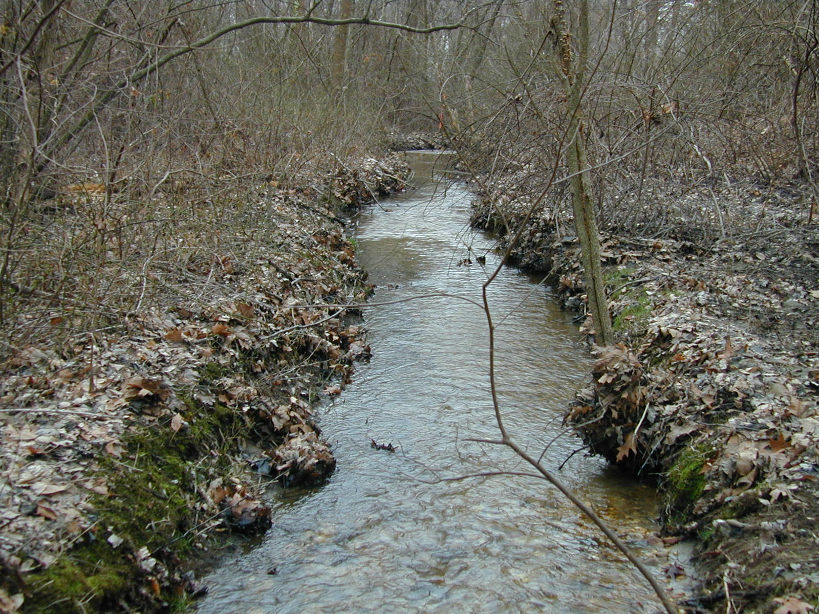 Field photo showing stream conditions at site PTOB-103-R-2003-709