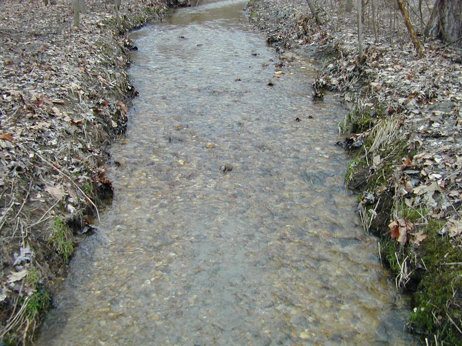 Field photo showing stream conditions at site PTOB-103-R-2003-710