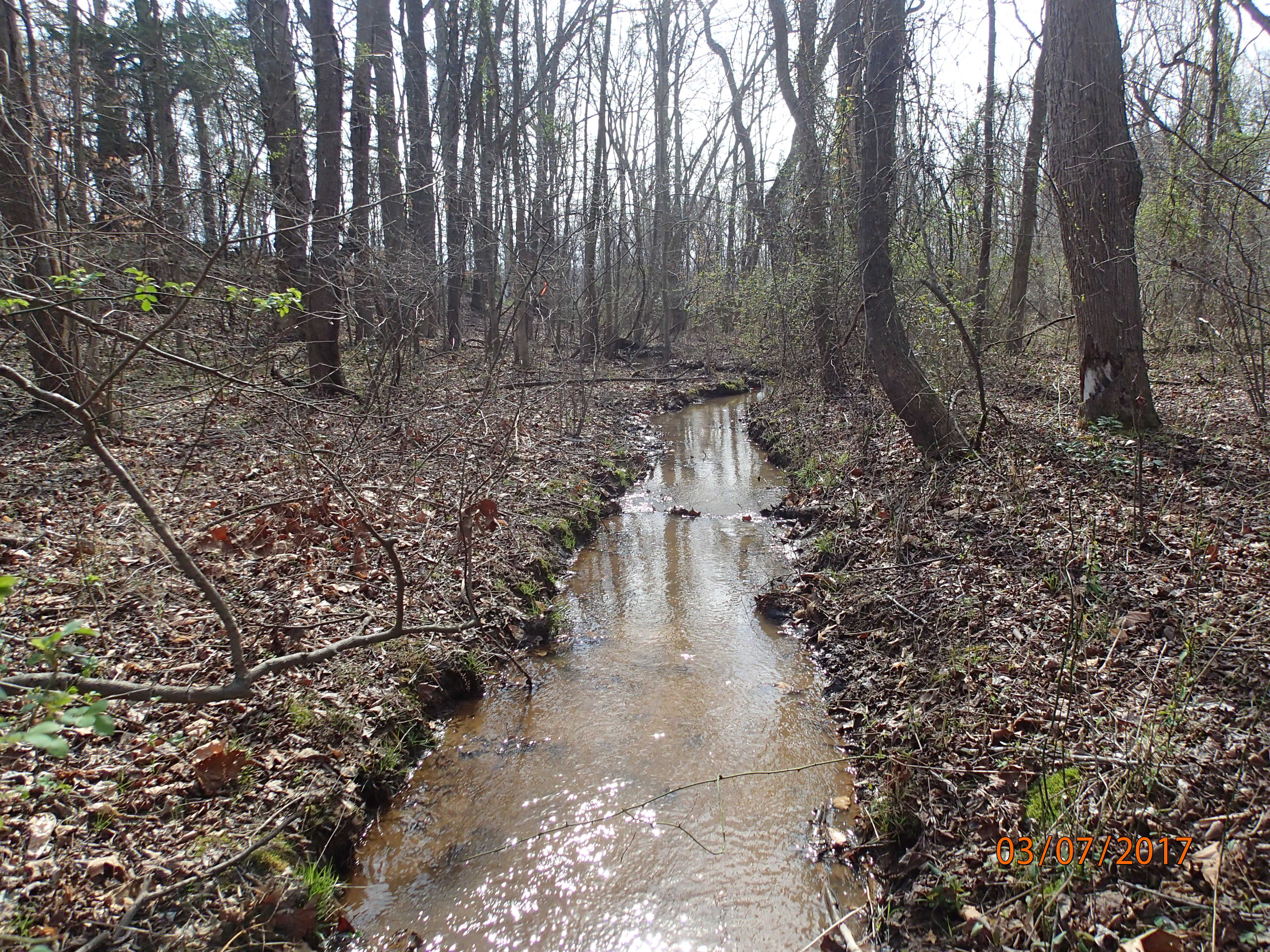 Field photo showing stream conditions at site PTOB-103-R-2017-MidpointDownstream