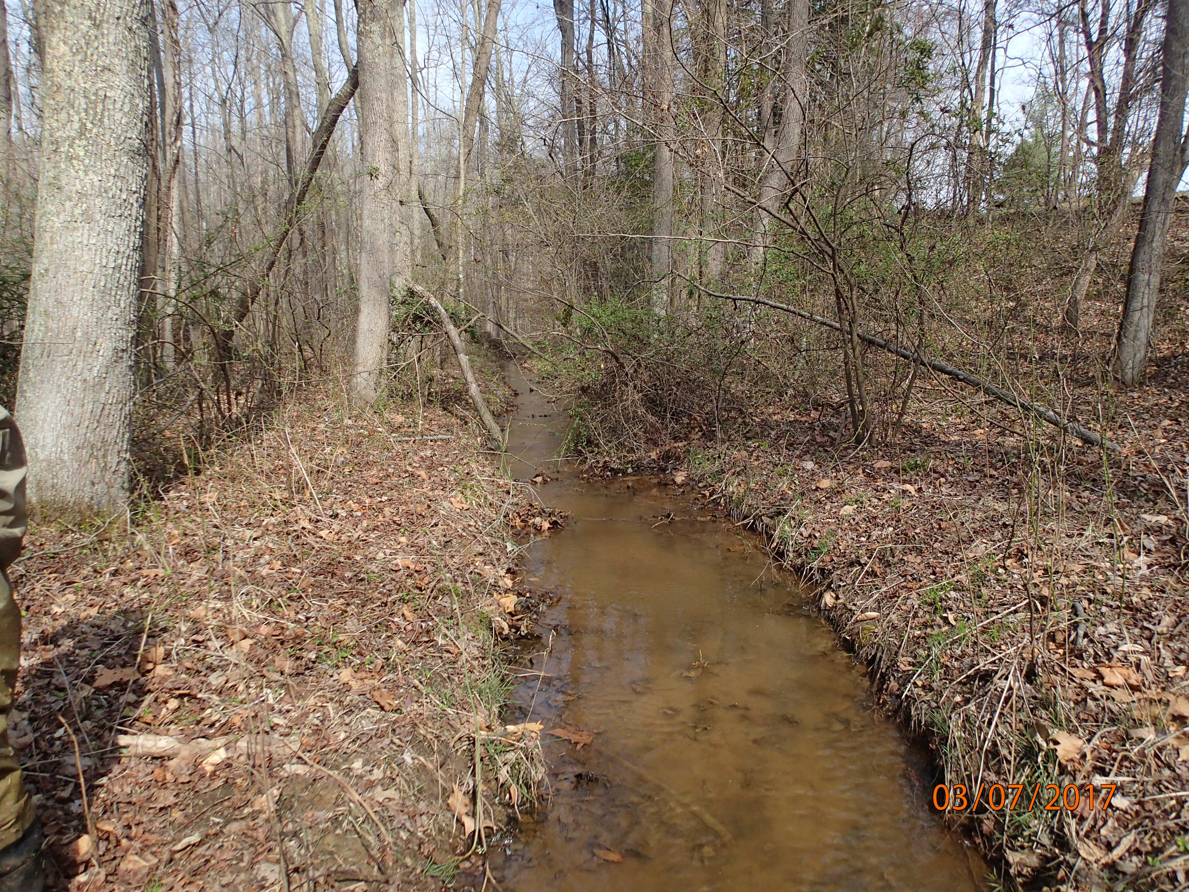 Field photo showing stream conditions at site PTOB-103-R-2017-MidpointUpstream