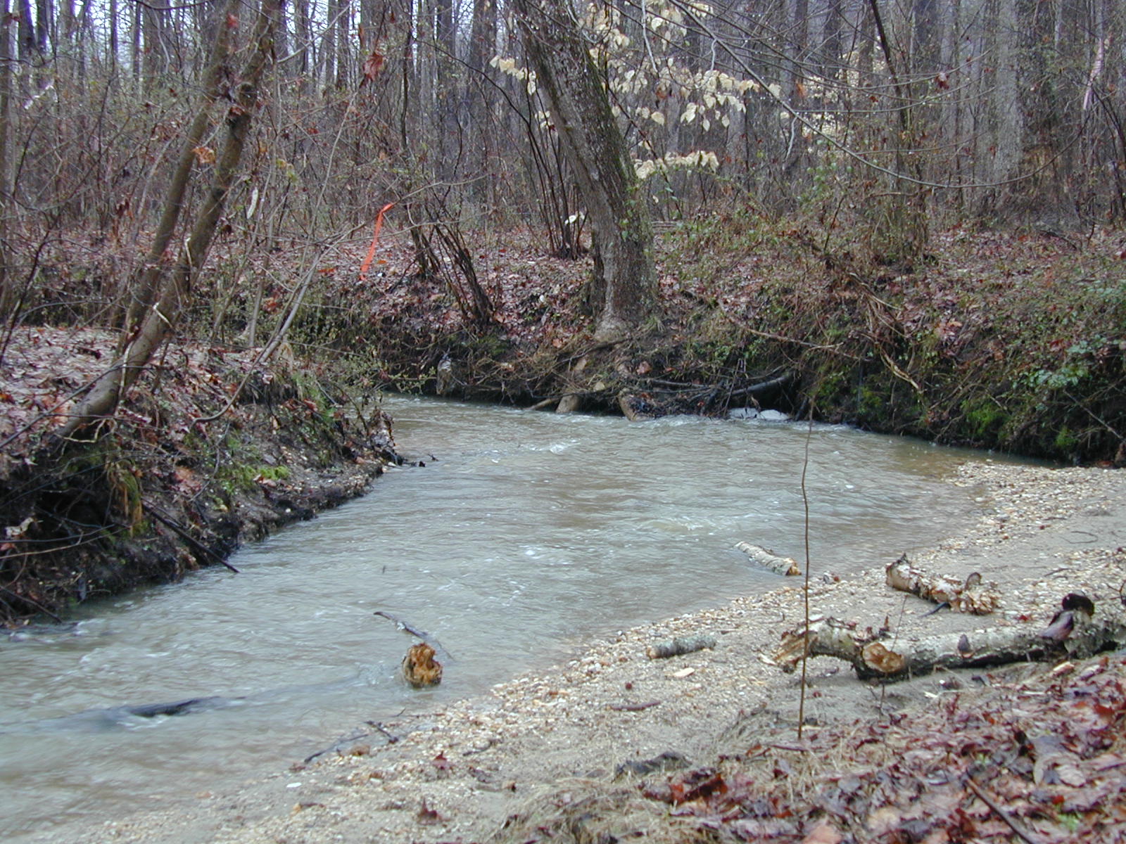 Field photo showing stream conditions at site PTOB-104-R-2003-719