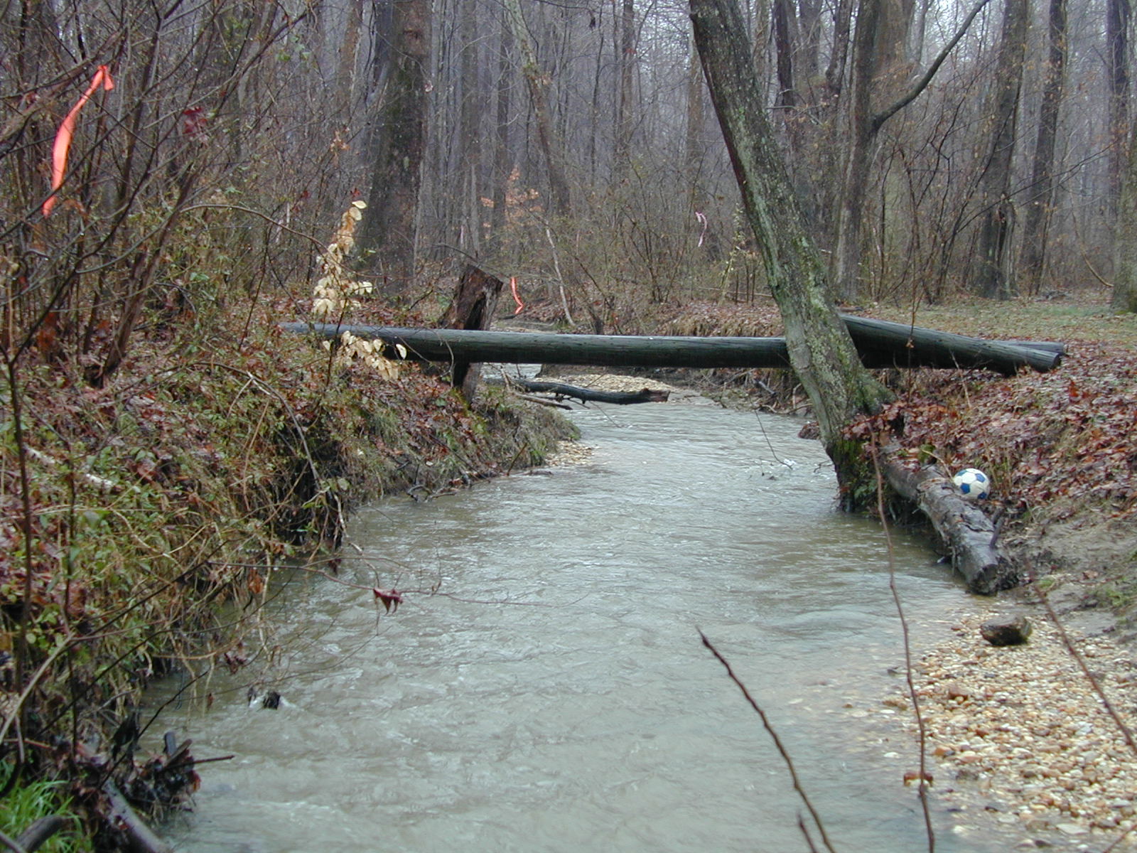 Field photo showing stream conditions at site PTOB-104-R-2003-720
