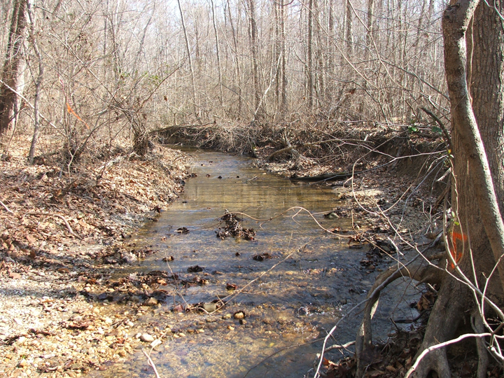 Field photo showing stream conditions at site PTOB-104-R-2008-1