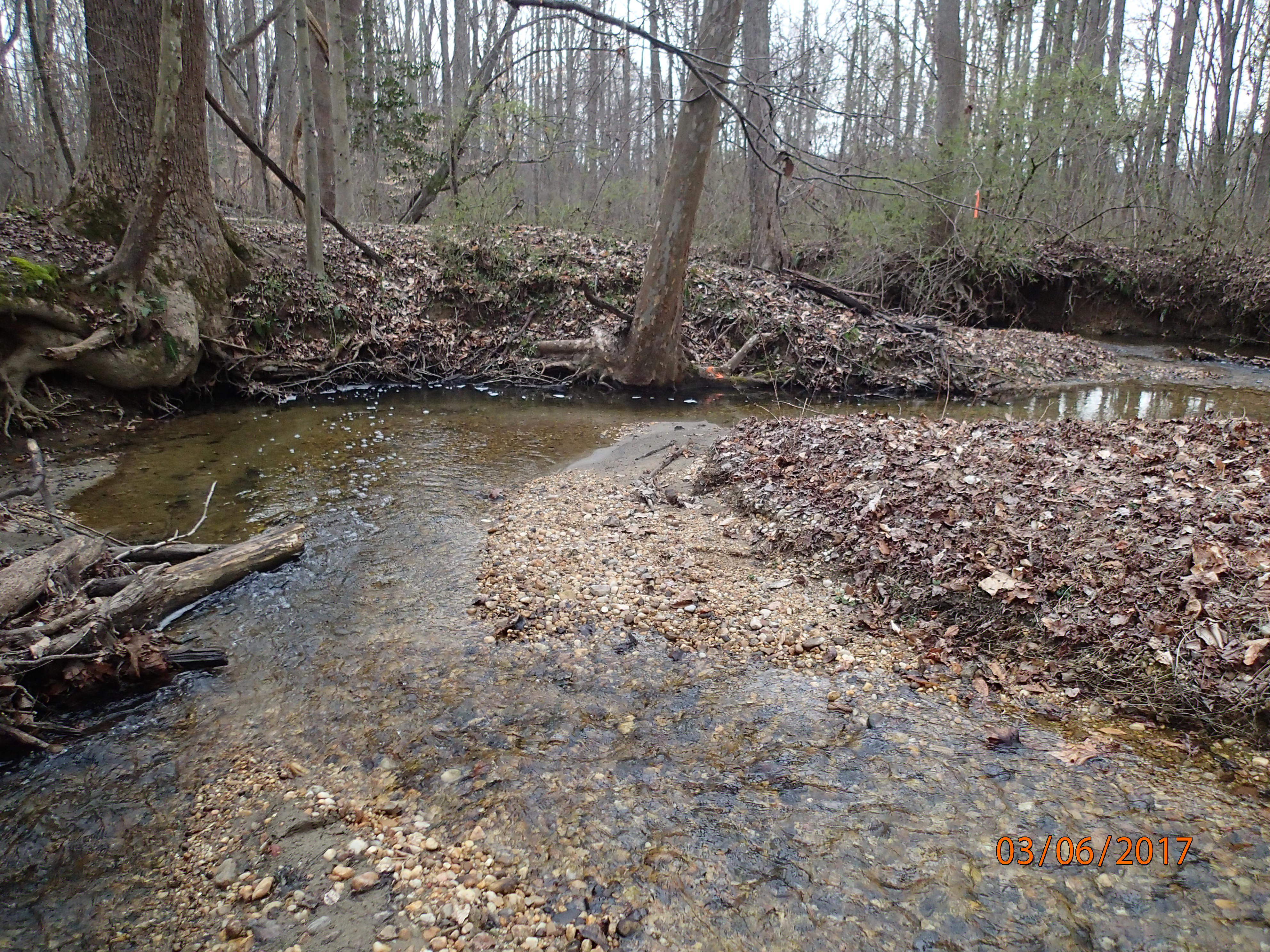 Field photo showing stream conditions at site PTOB-104-R-2017-MidpointDownstream