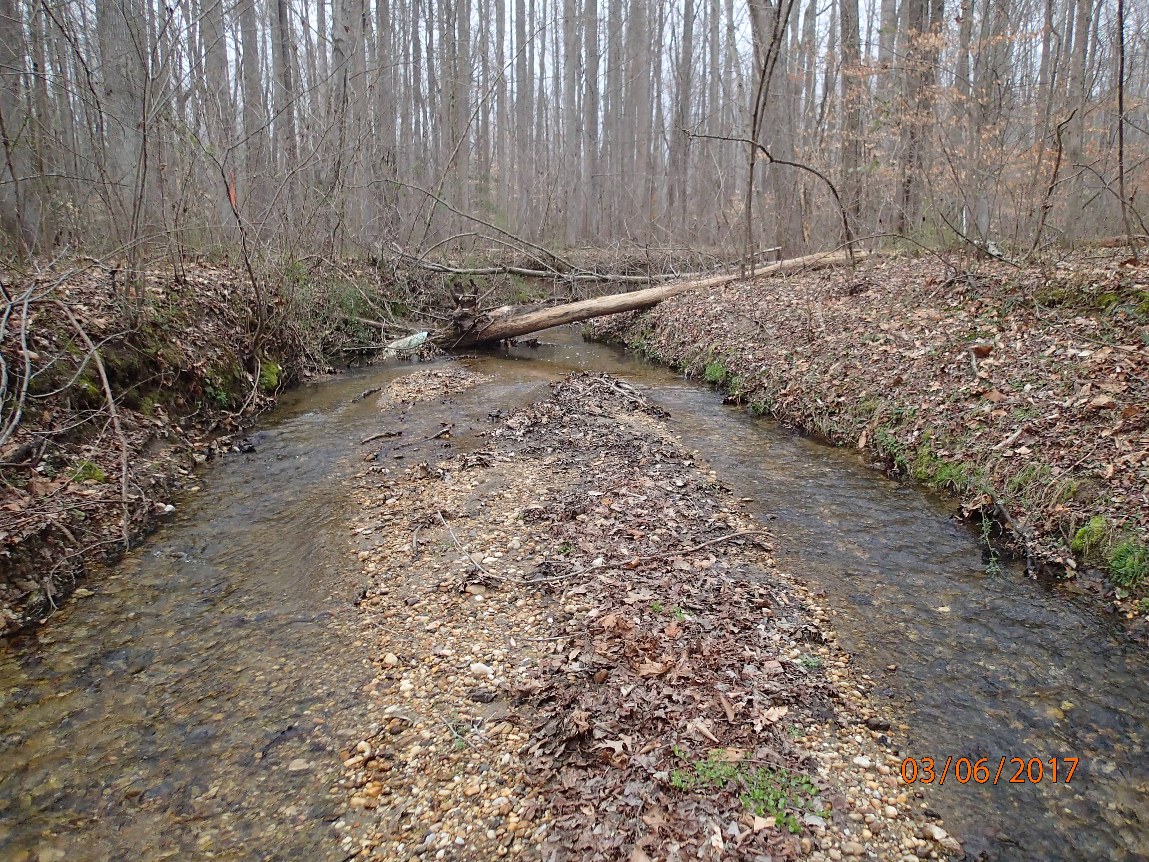 Field photo showing stream conditions at site PTOB-104-R-2017-MidpointUpstream
